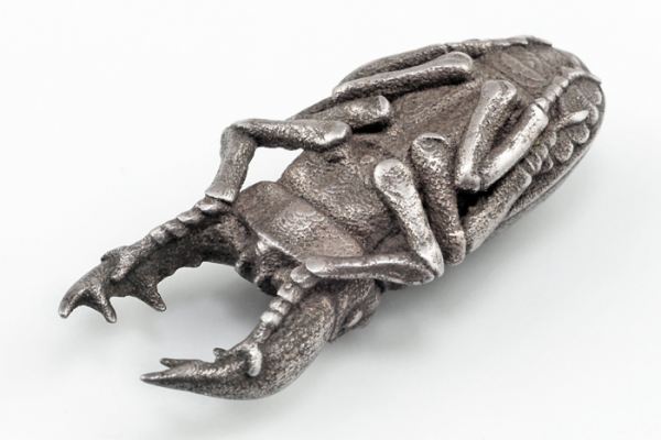 Steel Stag Beetle
